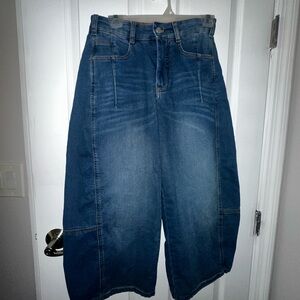 Pilcro Indigo Barrel Jeans